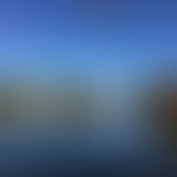 Pursuing a Writing Career