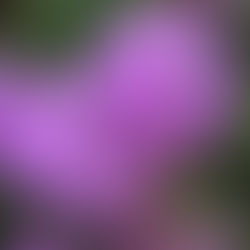 Power Comes with Responsibilities