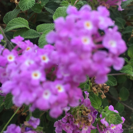 Power Comes with Responsibilities