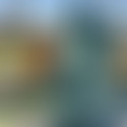 Paying a Tribute to Vietnamese Boat People