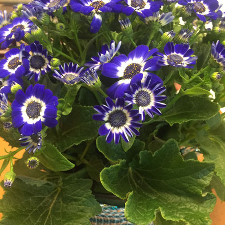 A Lifetime of Being a Public Servant