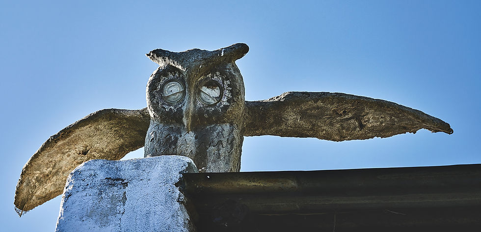 Owl On House - SML.jpg
