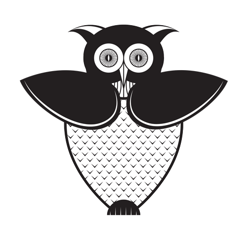 Owl-Blinking-Flying-GIF.gif