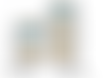 Part 2 : Transformers: Input Embedding and Positional Encoding