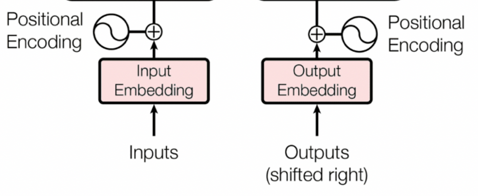 Input Embedding and Positional Encoding of Transformer architecture