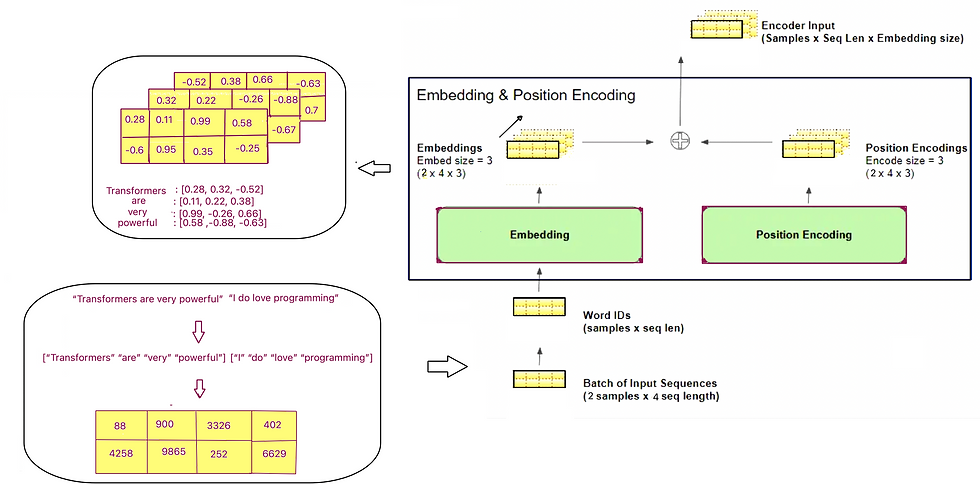 Input Embedding and Positional Encoding