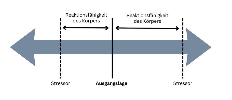 Grafik, die ein zweiseitiges Spektrum darstellen soll. Der Organismus befindet sich grundsätzlich in einer Ausgangslage, von wo aus (durch äußere Stressoren bedingt) sowohl in die eine Richtung, als auch die andere Richtung ausweichen kann.