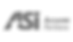 accurate partitions logo gray