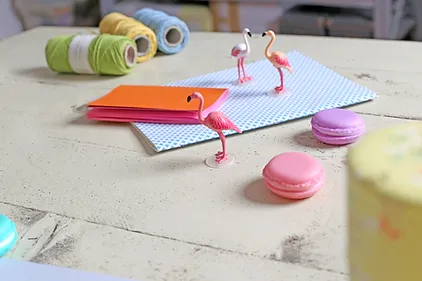 flamingo