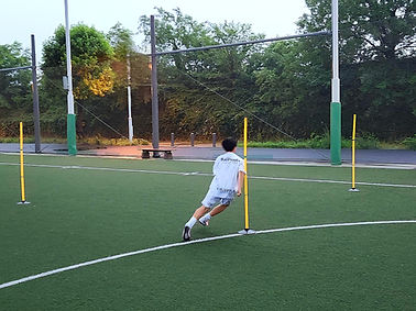 アジリティトレーニングの模様