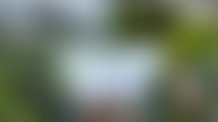 Traveling to Ecuador with kids