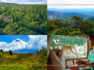 10 Megadiverse Travel Experiences in Ecuador