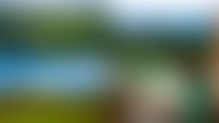 10 Megadiverse Travel Experiences in Ecuador