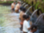 Balinese Wellness Ritual