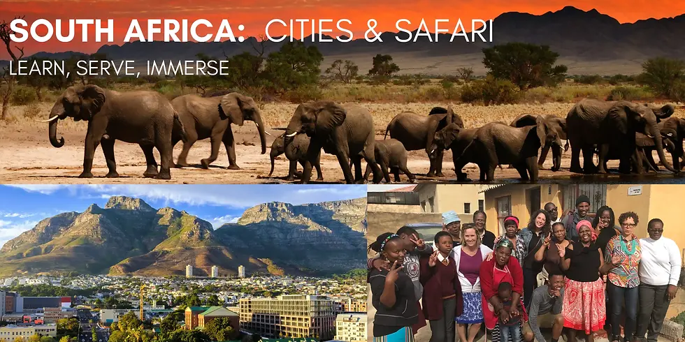 South Africa cities and safari elephants immerse
