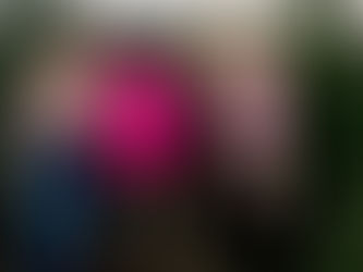 Christmas Tree Farm Mini at Bridgestone Tree Farm | Webb City, MO