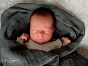 Capturing Precious Moments: Studio Newborn Session in Webb City, MO