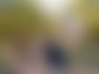 Fall Family Session at King Jack Park