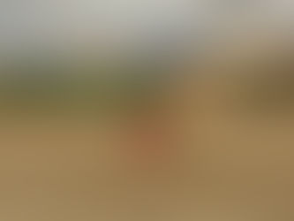 トレーニングマッチ