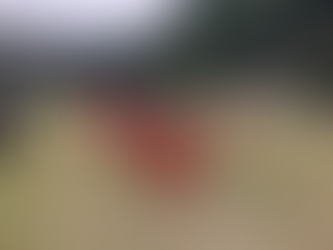 1・2年生　交流戦