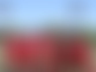 大阪府社会人カップ２０１７