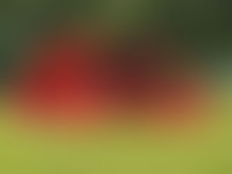 3〜5年　夏季合宿