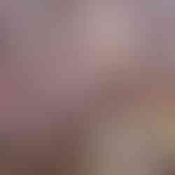 Τρύγος 2024 από το Κτήμα Ζαφειρακη