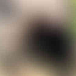 Μια σημαντική δράση εξωστρέφειας για το Κτήμα Ζαφειράκη στη Νέα Υόρκη