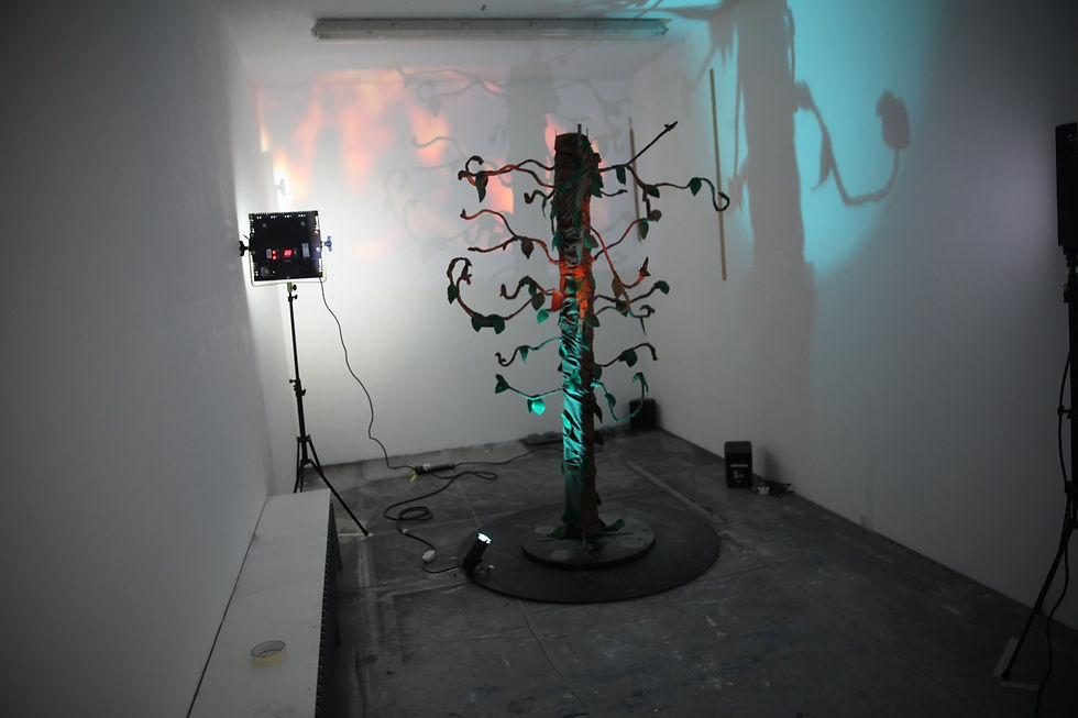 The Room