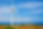 wind farm_edited