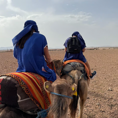 Marrakech: Quad Biking and Camel Riding Excursion