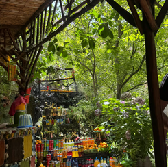 Marrakech: Ourika Valley Excursion with Waterfall Hike