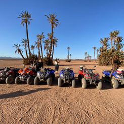 Marrakech: Quad Biking in the Palmeraie Dunes with Tea