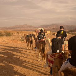 Marrakech: Quad and Camel Rides in the Agafay Desert with Dinner Show + Pool Access