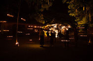 IMG_2269.jpeg