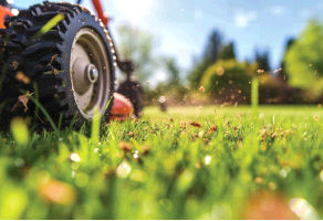 8 Common Mistakes for DIY Lawn Care