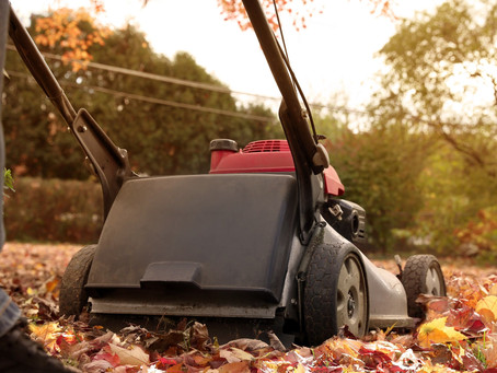 Pro Tips for Fall Lawn Care