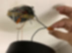 ree