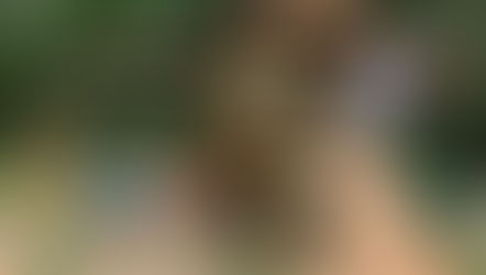 Build a Play Set from a Kit