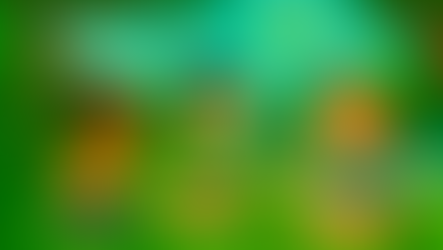 A Ciência começa na contemplação da natureza