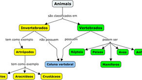 Como fazer mapas conceituais