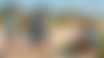 O desenvolvimento do pensamento científico na infância