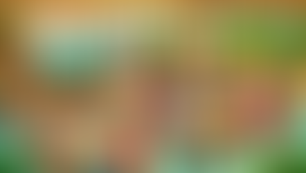 Investigando a natureza