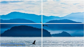 Como fazer a leitura de imagens