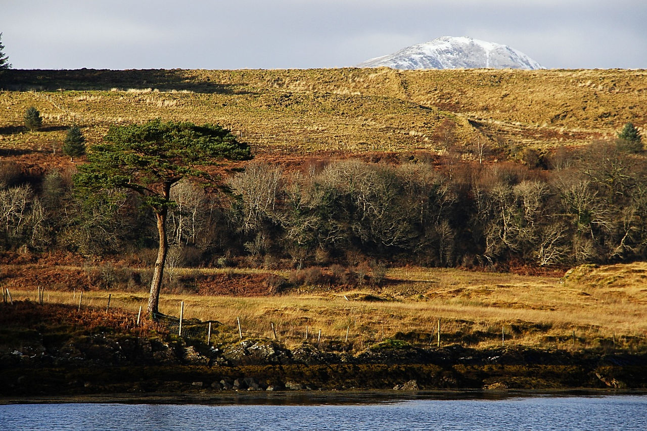 Non loin du Castle Stalker