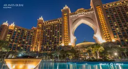 Screen Shot 2022-05-27 at 12_59_36 PM.webp