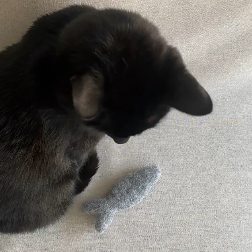 Thumbnail: Felt Fish Cat Toy