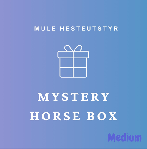Coolhorse $200 Value Mystery Box main image 0