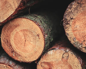 Granules De Bois | Kajbois