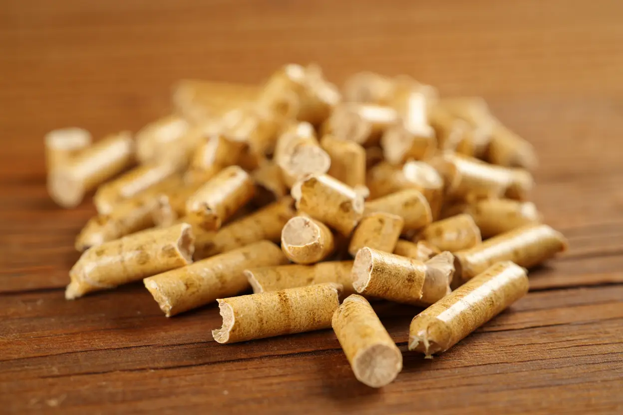 Sciure et copeaux de bois en scierie